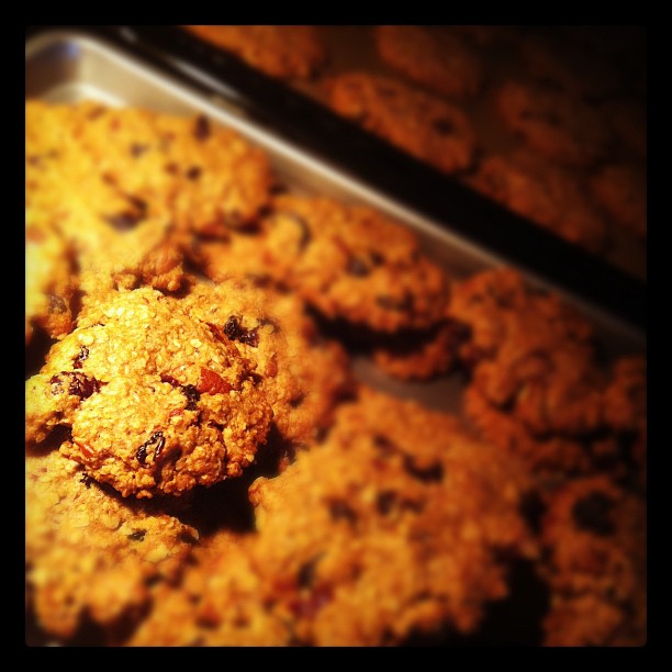 oatmeal cookies - Jammie040.nl